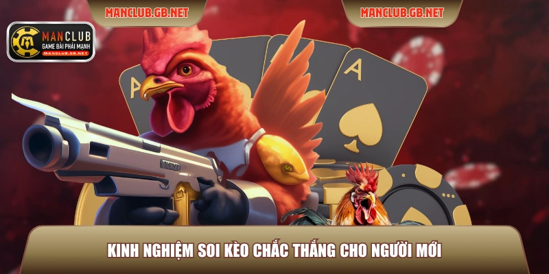 Kinh nghiệm soi kèo chắc thắng cho người mới